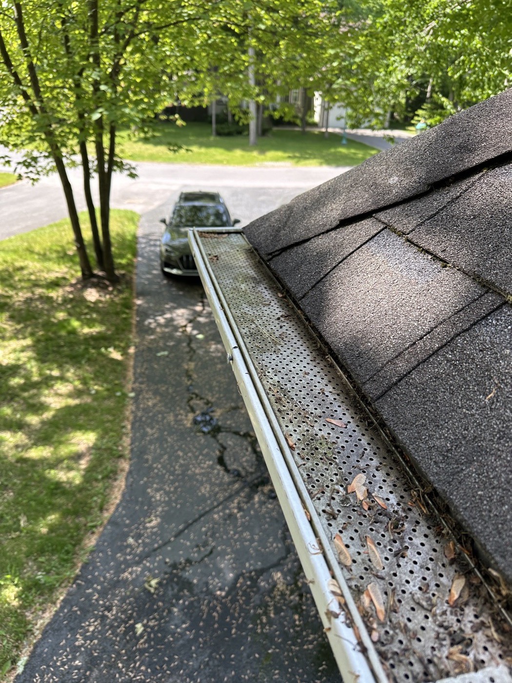 Gouttière propre avec garde — après nettoyage