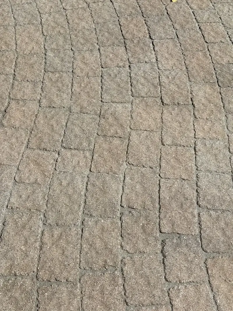 Joints de pavé avant nettoyage