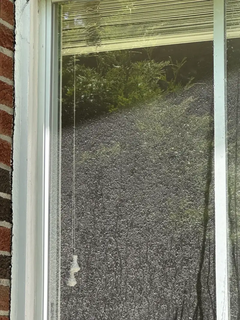 Fenêtre avant lavage